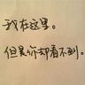 醉玲珑